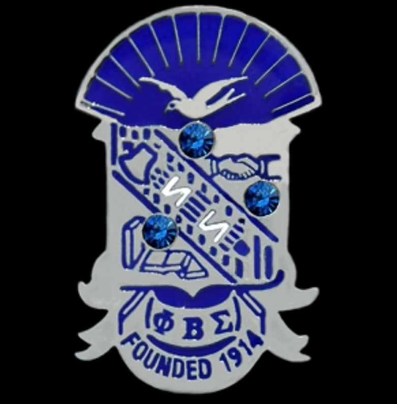 PBS Shield And Letters Stone Pin